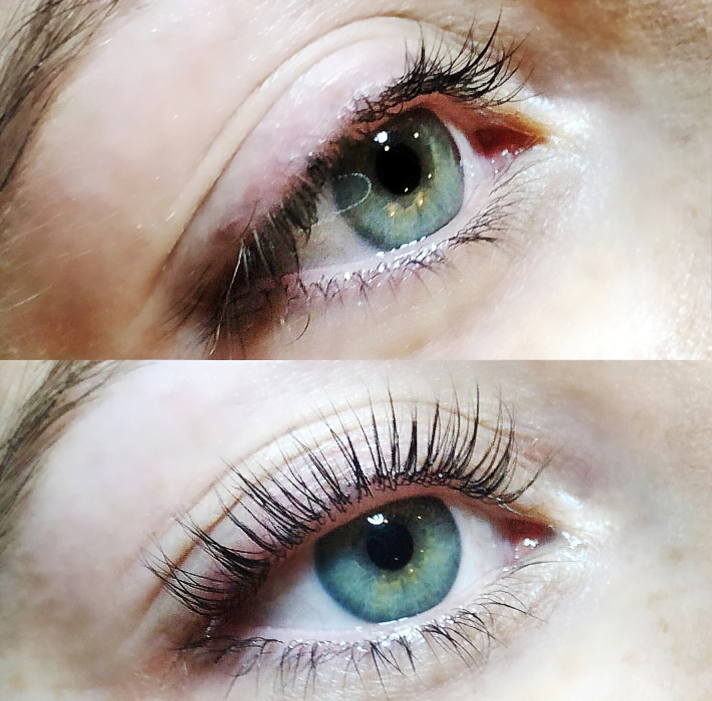 Rich results on Google's SERP when searching for 'Lash lift'